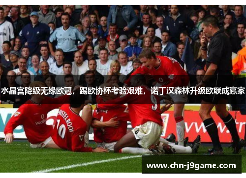 水晶宫降级无缘欧冠，踢欧协杯考验艰难，诺丁汉森林升级欧联成赢家